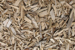 biomass boilers Cotheridge